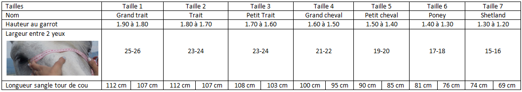 TABLEAU DES CORRESPONDANCES DE TAILLES