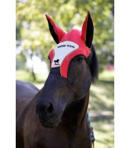 Bonnet-cap with personalised display
