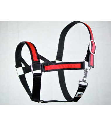 Halter for draft horse