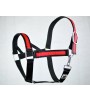 Halter for draft horse