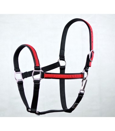 Licol inox pour cheval ou poulain de trait Licol inox pour cheval ou poulain de trait