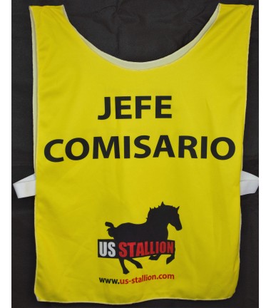 CHASUBLE CHASUBLE